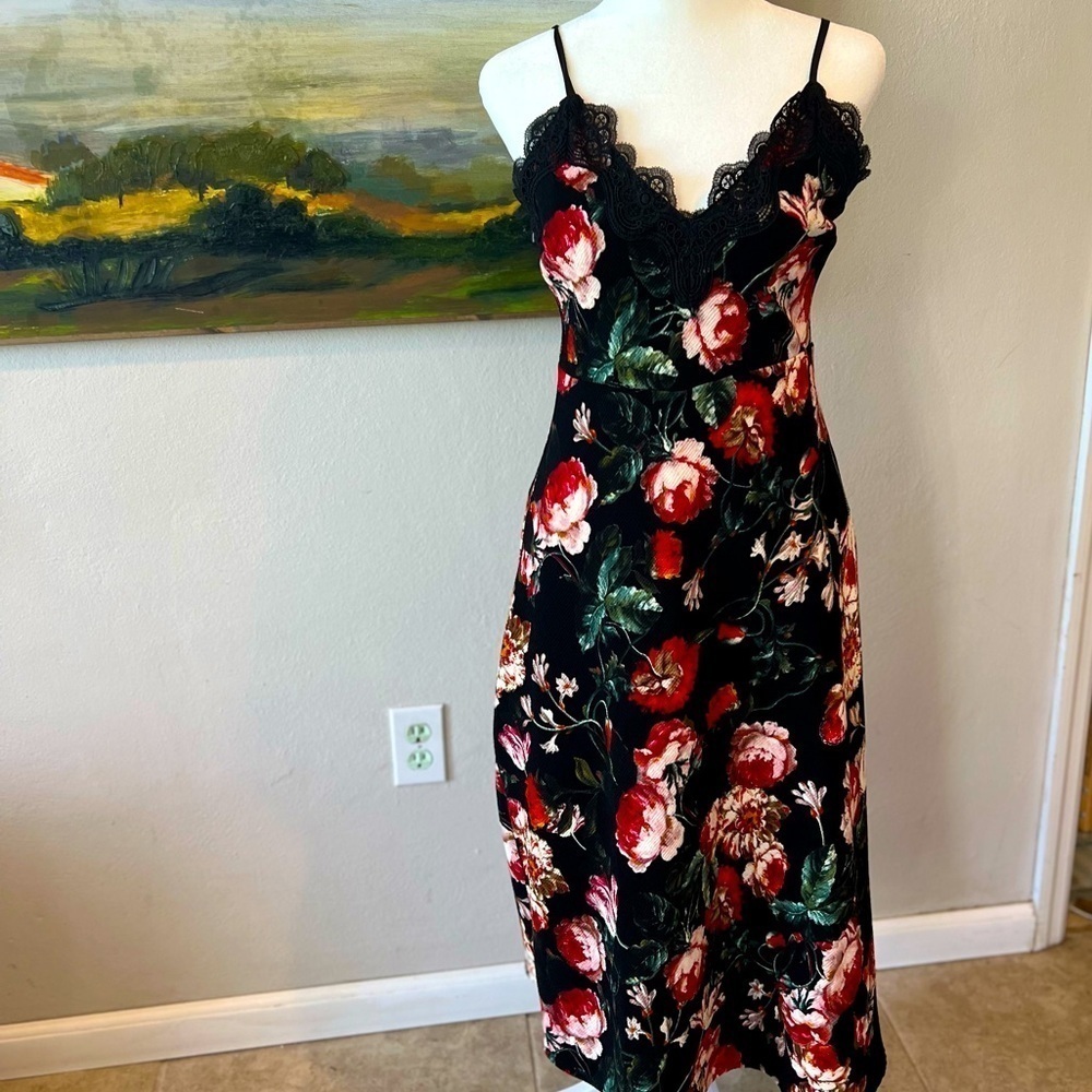 Foxiedox Anthropologie Lace and Flower Dress
